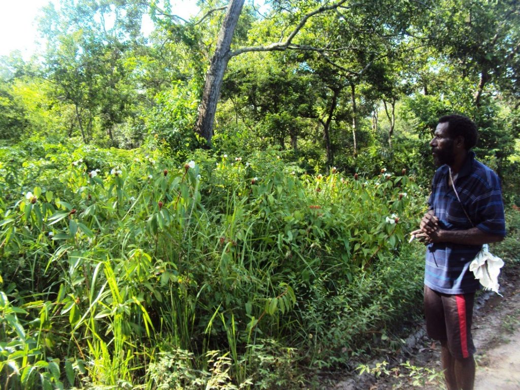 Lukas Ndiken dan Dominikus Kaize: Sensor Kayu dan Hutan yang Rusak